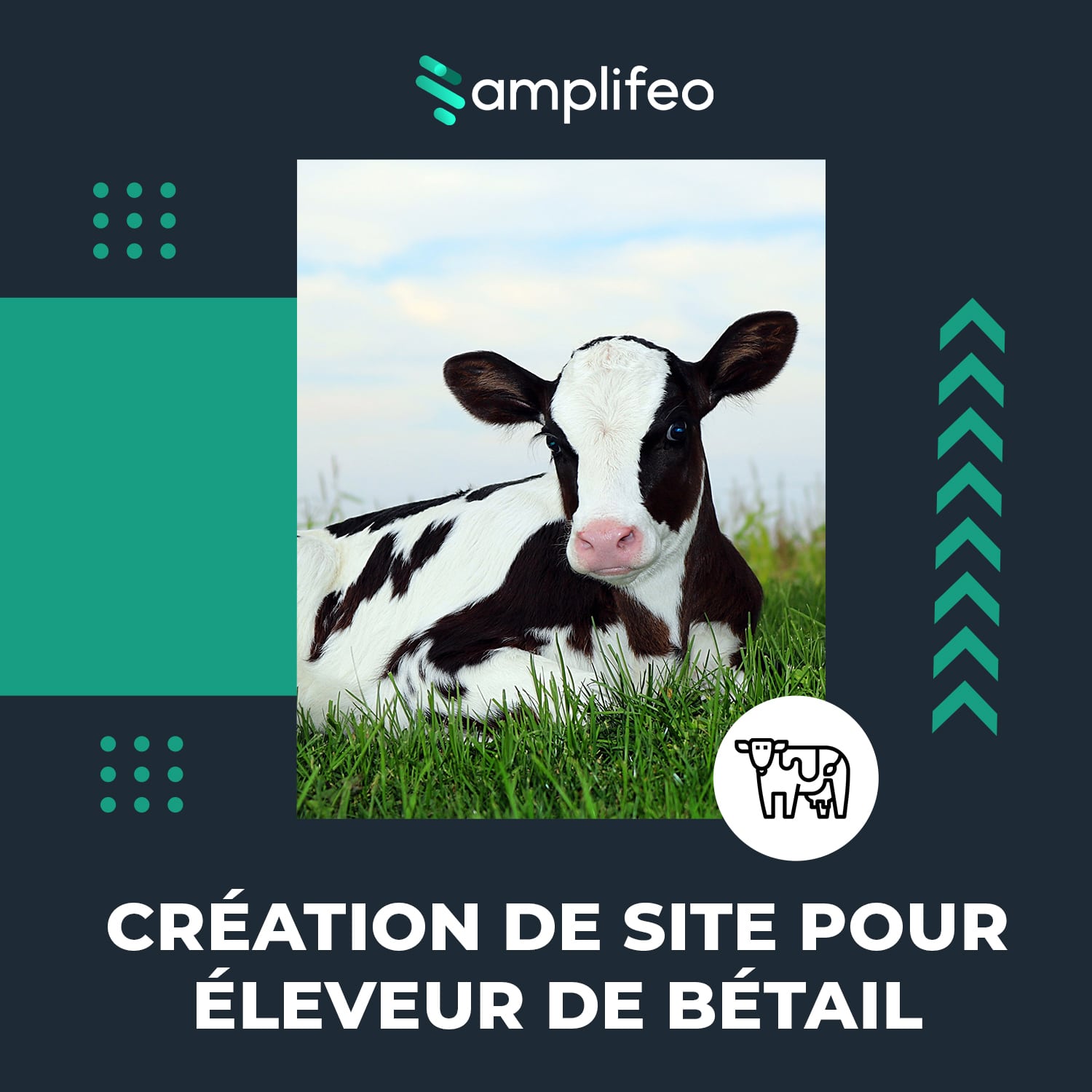 Création Site Internet Clé En Main Pour éleveur De Bétail