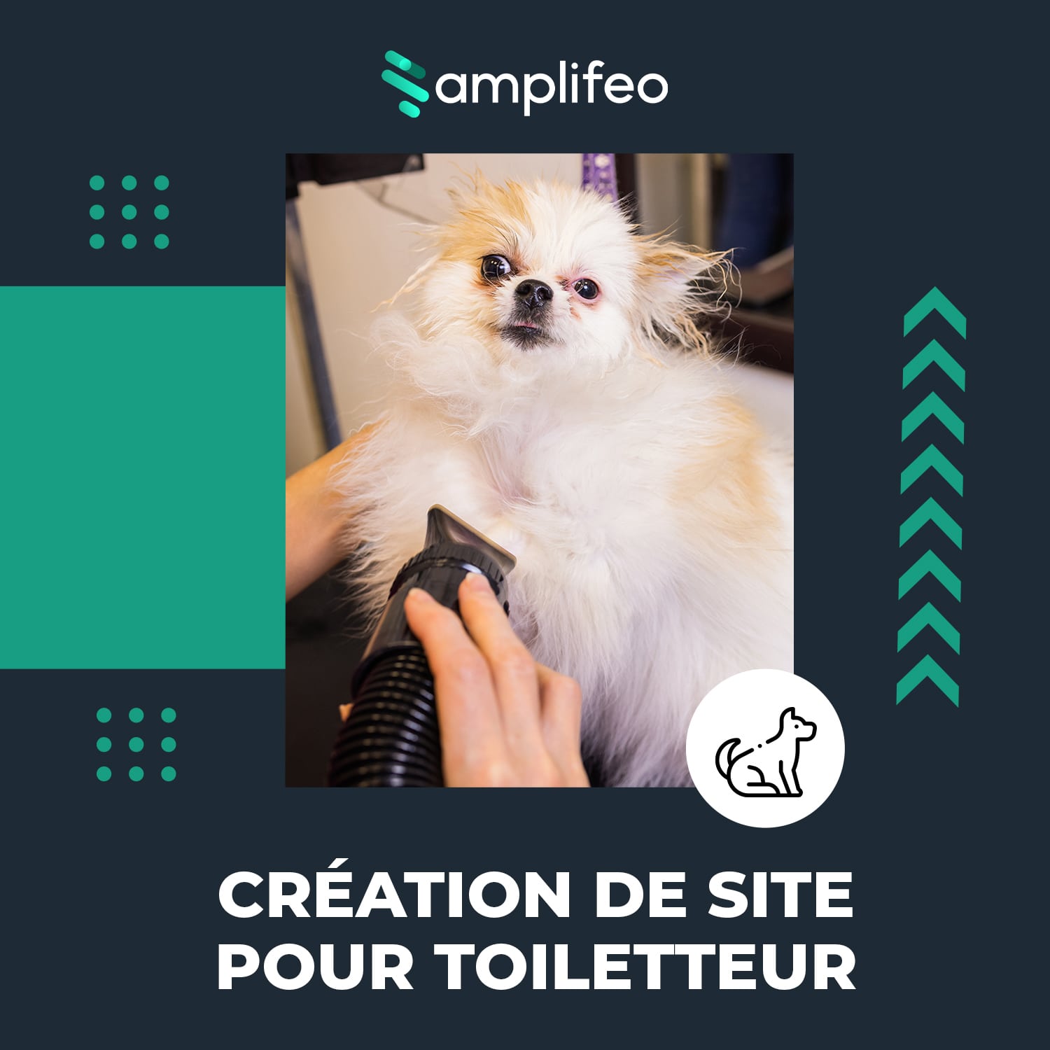 Création Site Internet Clé En Main Pour Toiletteur