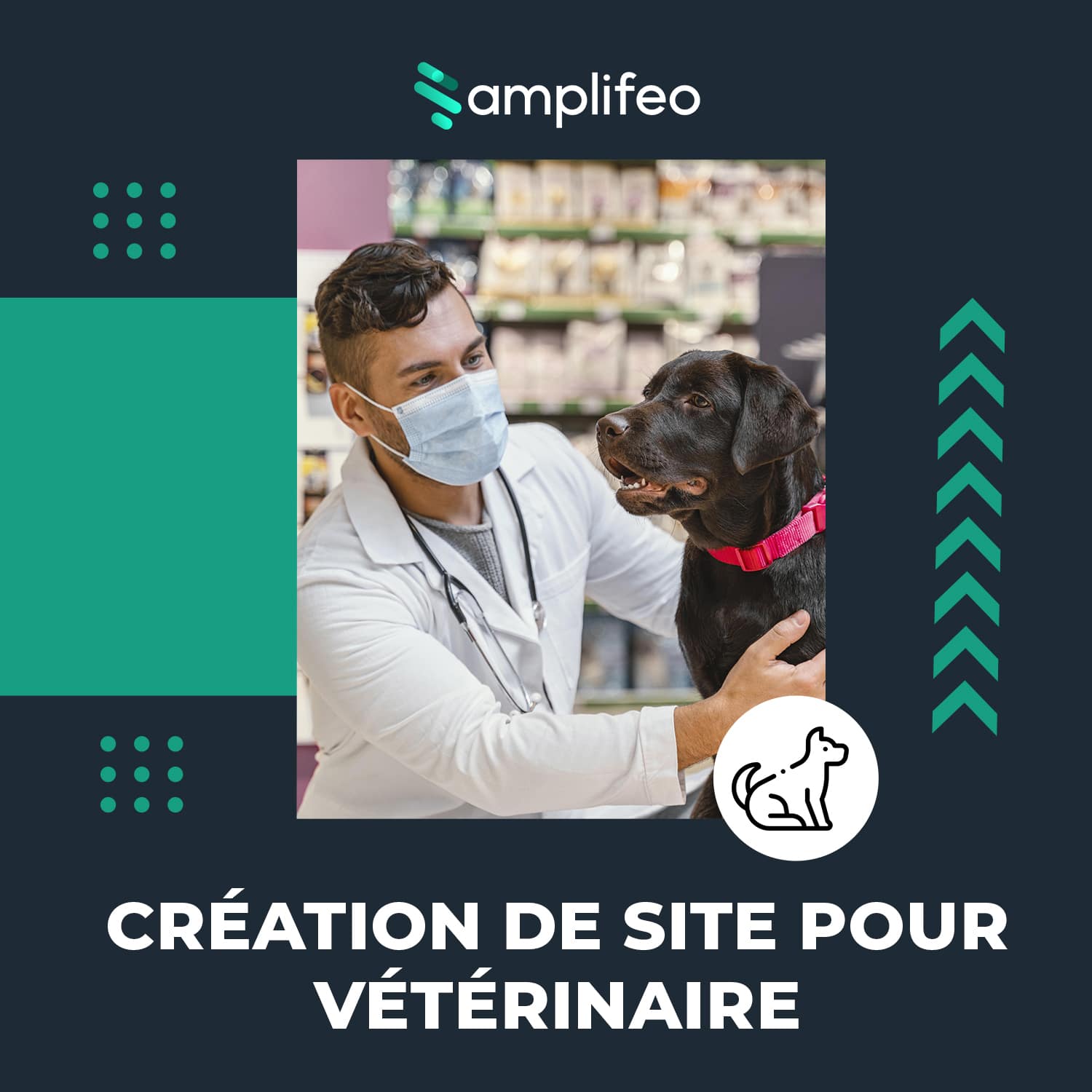 Création Site Internet Clé En Main Pour Vétérinaire