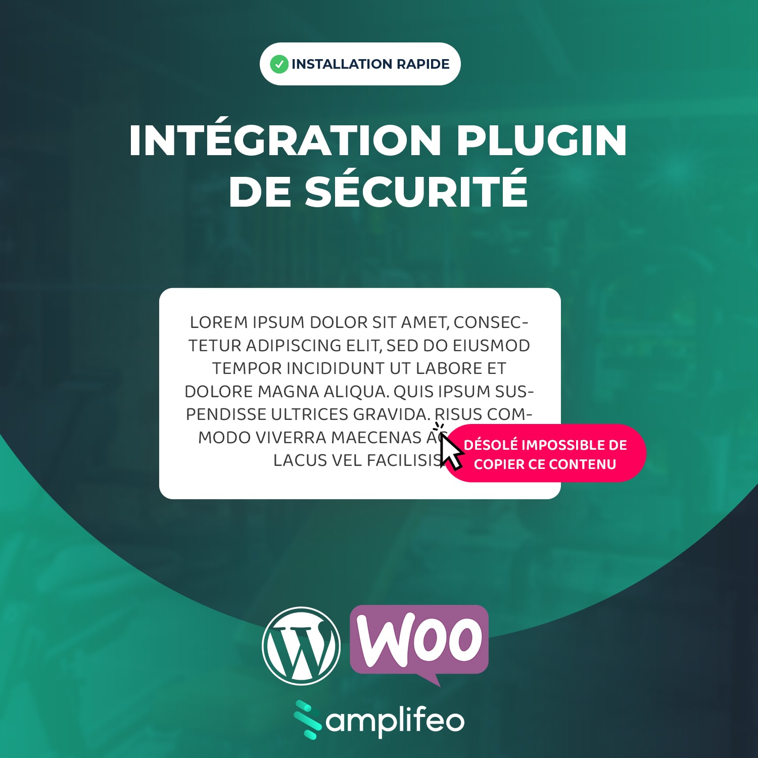 Intégration Plugin WordPress De Protection De Médias & Textes