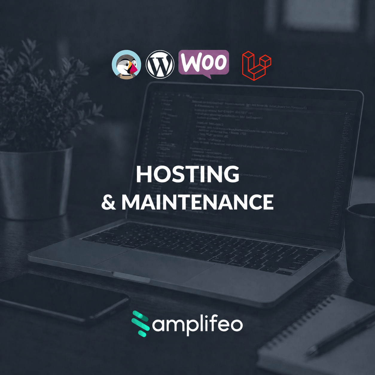Hosting and Maintenance